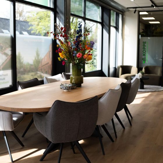 DMLUX project Ligtenberg Koppe Vaassen